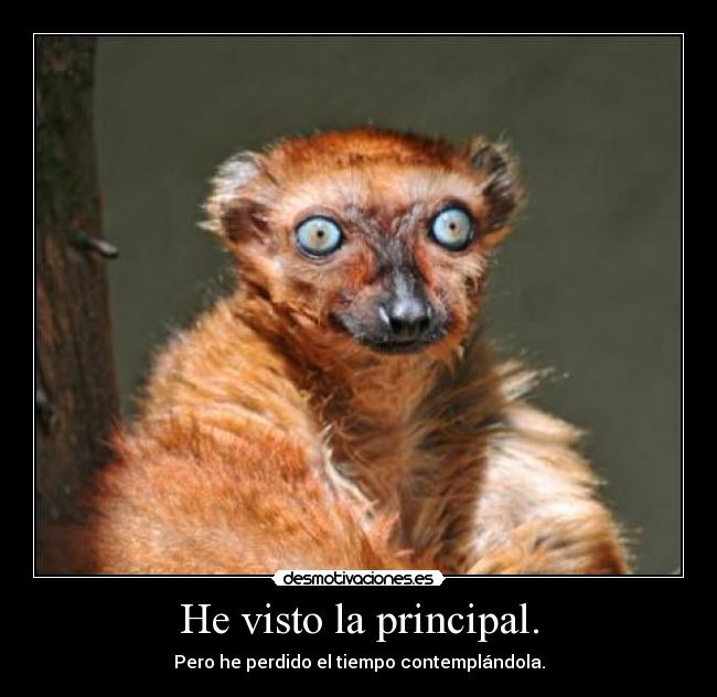 He visto la principal. - Pero he perdido el tiempo contemplándola.