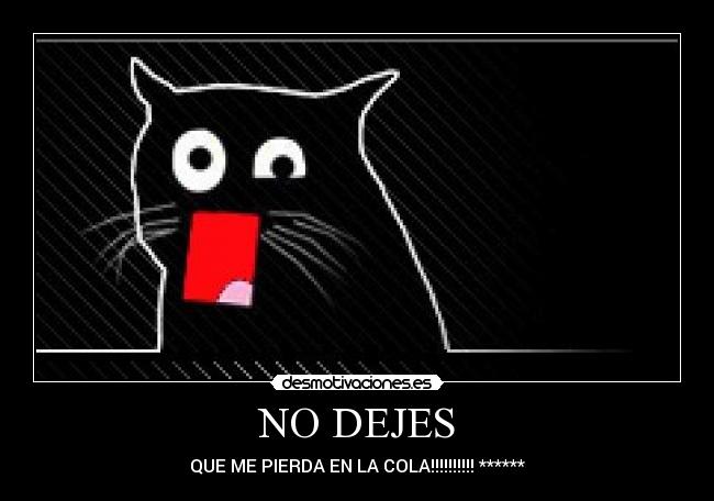NO DEJES - 
