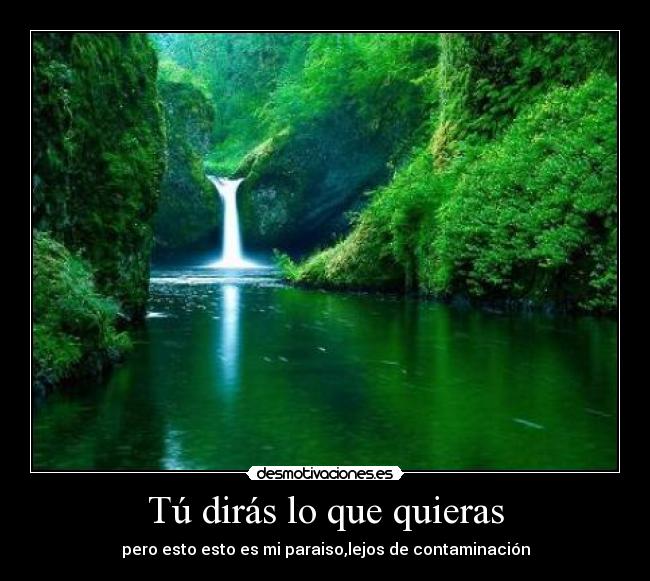 Tú dirás lo que quieras -