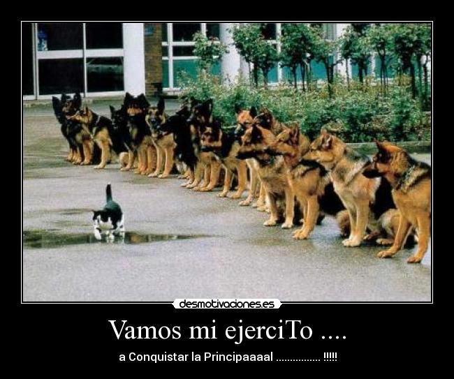 Vamos mi ejerciTo .... -