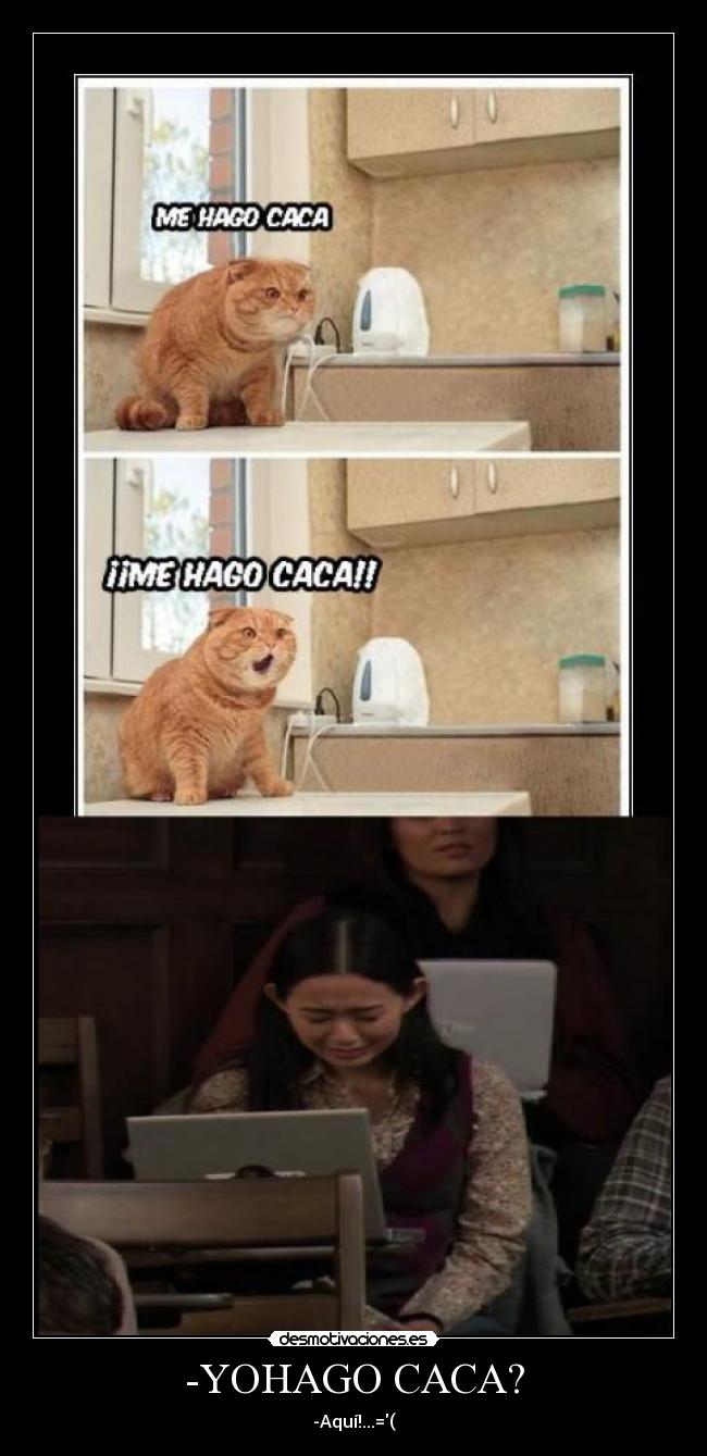 -YOHAGO CACA? - 
