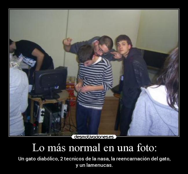 carteles lamenucas normal una foto desmotivaciones