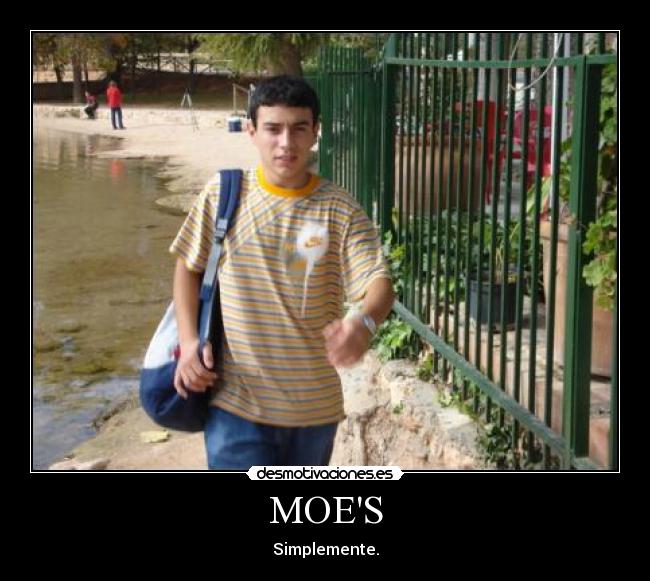 MOES - 