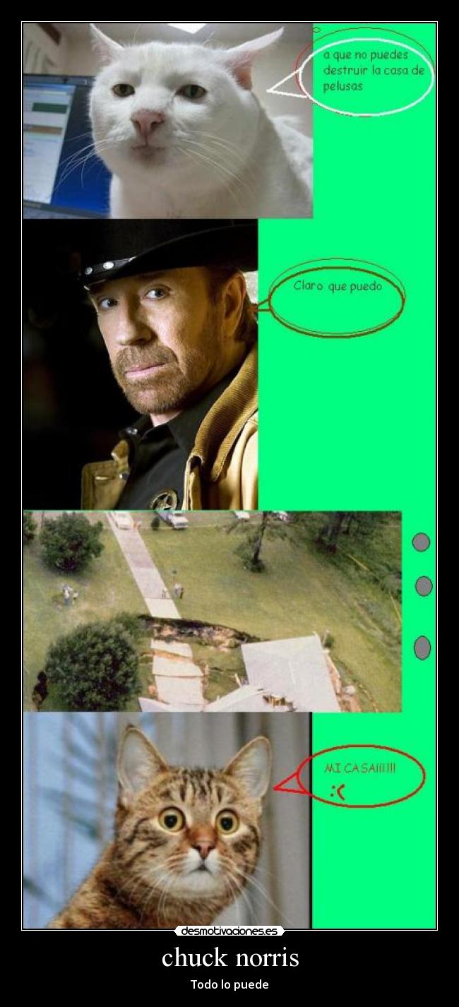 chuck norris - Todo lo puede