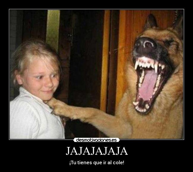 JAJAJAJAJA -