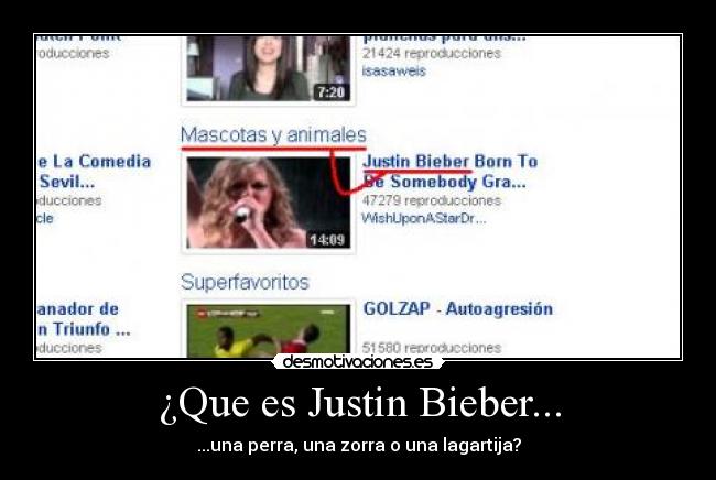 ¿Que es Justin Bieber... - ...una perra, una zorra o una lagartija?