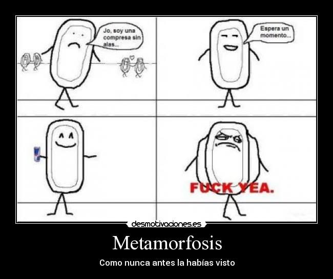 Metamorfosis - Como nunca antes la habías visto