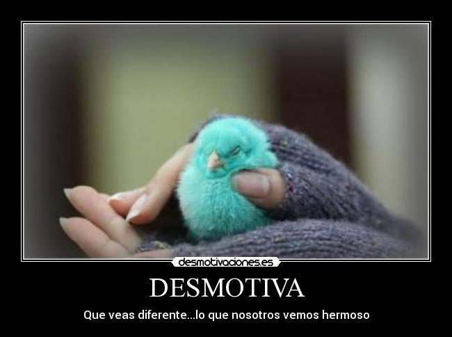 DESMOTIVA -