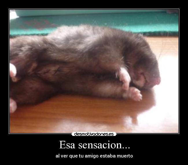Esa sensacion... -