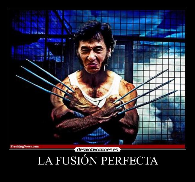 LA FUSIÓN PERFECTA -