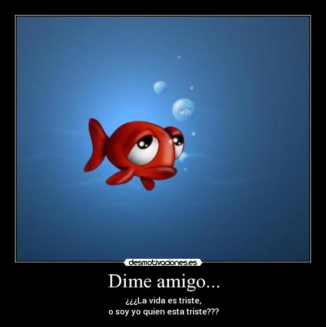 Dime amigo... -