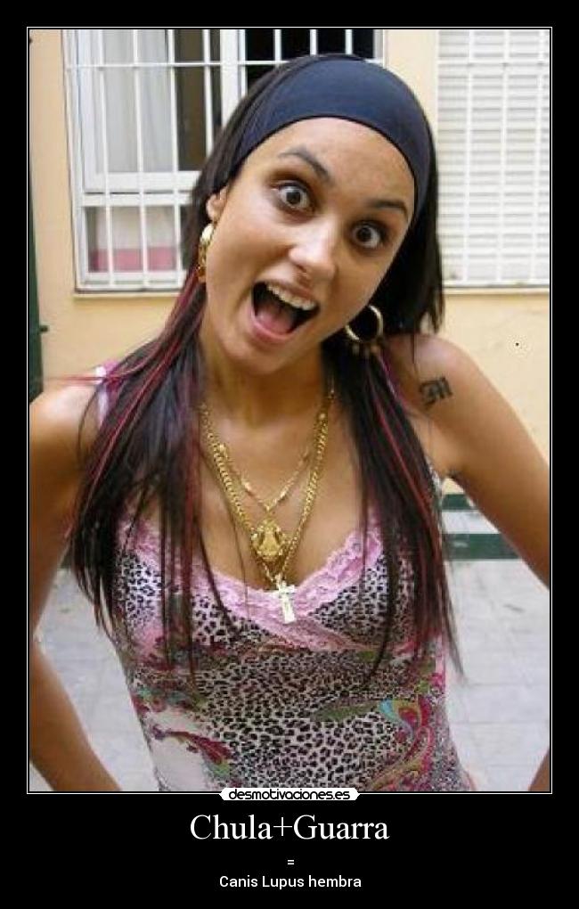 Chula+Guarra - =
Canis Lupus hembra