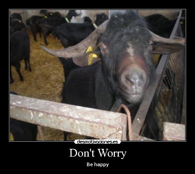 Dont Worry -