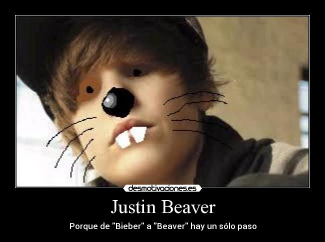 Justin Beaver - Porque de Bieber a Beaver hay un sólo paso