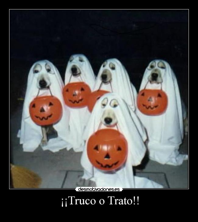 ¡¡Truco o Trato!! -