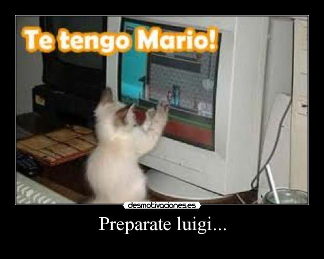 Preparate luigi... -