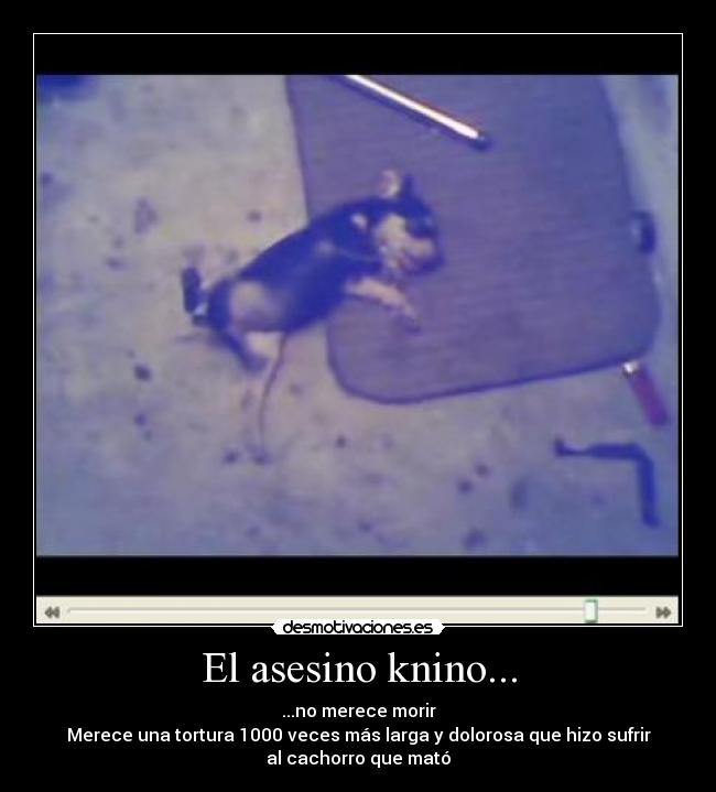 El asesino knino... - 