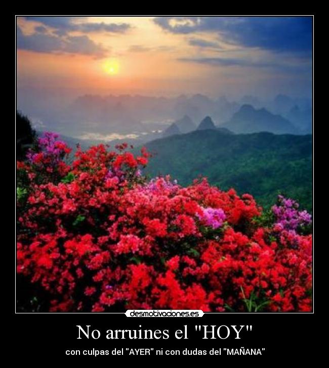 carteles arruines hoy desmotivaciones