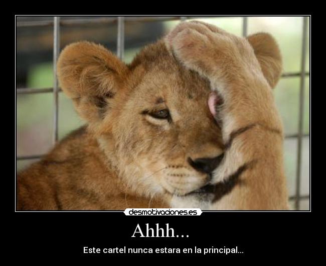 Ahhh... - Este cartel nunca estara en la principal...
