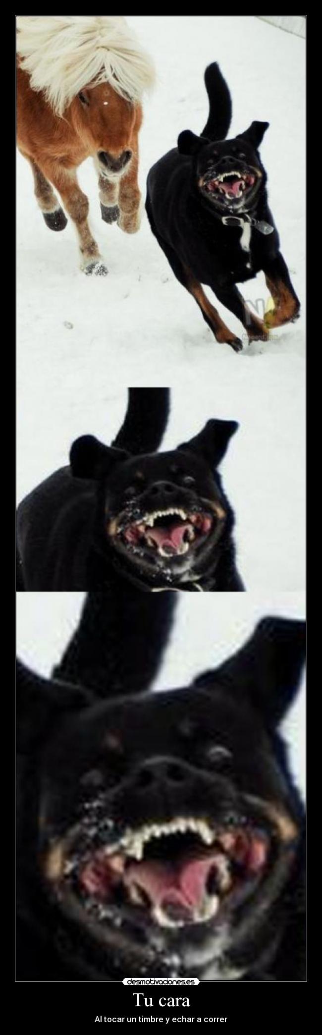 Tu cara - Al tocar un timbre y echar a correr