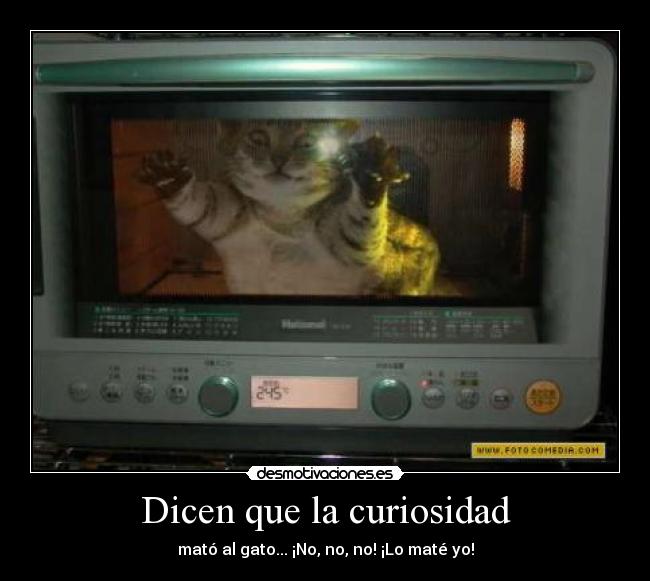 Dicen que la curiosidad -