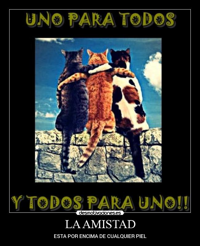 carteles amistad amistad esta por encima cualquier piel adriantxo gato desmotivaciones piel antifa desmotivaciones