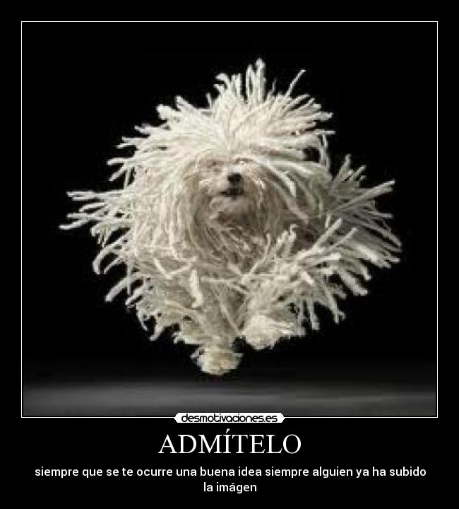 carteles pipotodoloko desmotivaciones