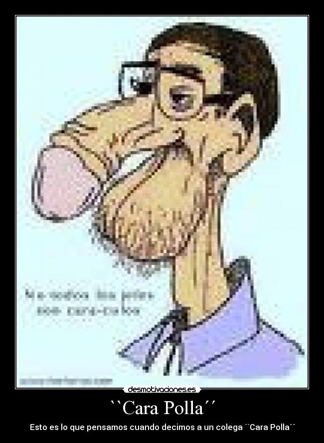 carteles freedom desmotivaciones