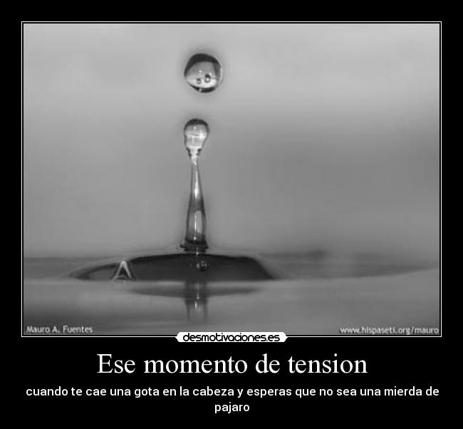 Ese momento de tension - cuando te cae una gota en la cabeza y esperas que no sea una mierda de pajaro