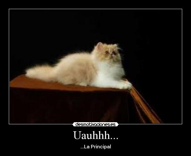 Uauhhh... - ...La Principal
