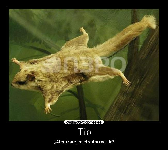 Tio - ¿Aterrizare en el voton verde?