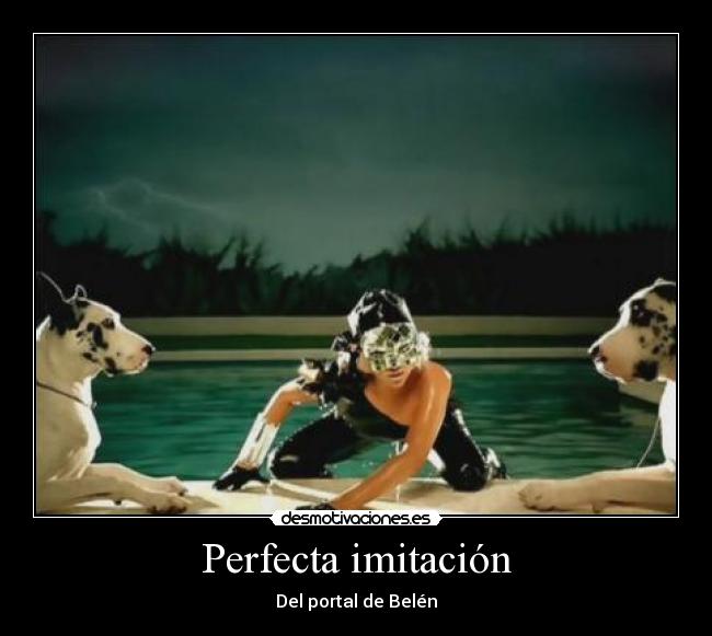 Perfecta imitación - Del portal de Belén