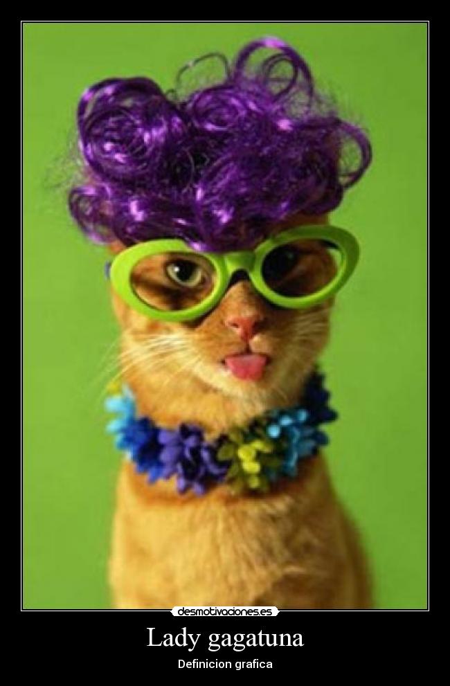 Lady gagatuna - 