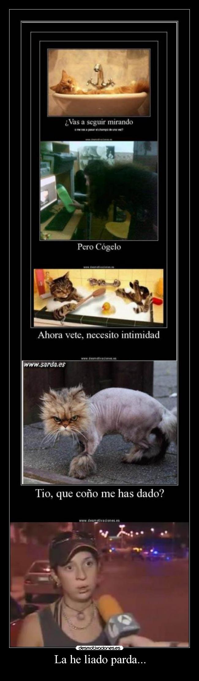 La he liado parda... - 