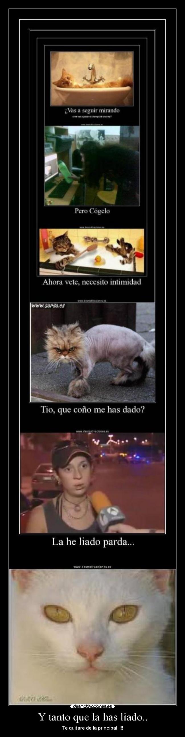 Y tanto que la has liado.. - Te quitare de la principal !!!!