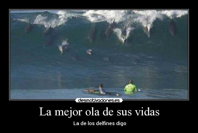 La mejor ola de sus vidas -  La de los delfines digo