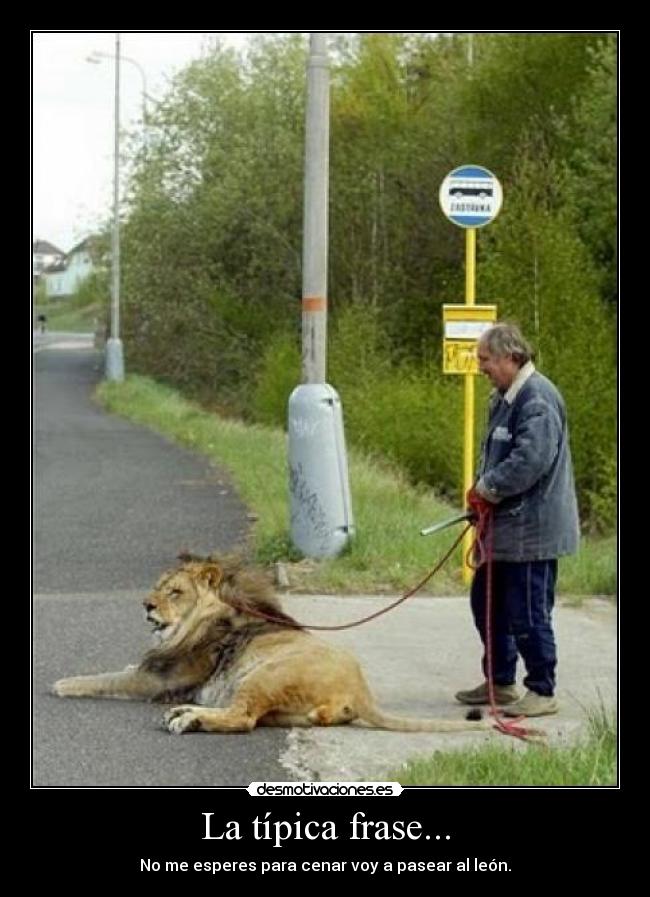 La típica frase... - No me esperes para cenar voy a pasear al león.