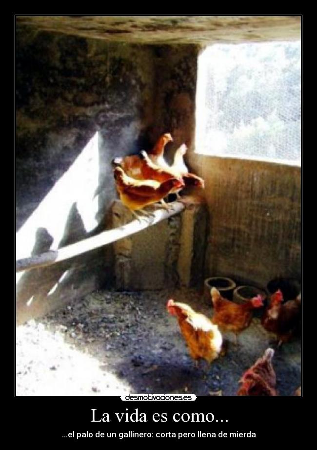 La vida es como... - ...el palo de un gallinero: corta pero llena de mierda