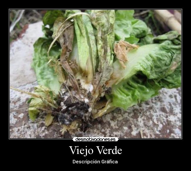 Viejo Verde - Descripción Gráfica 