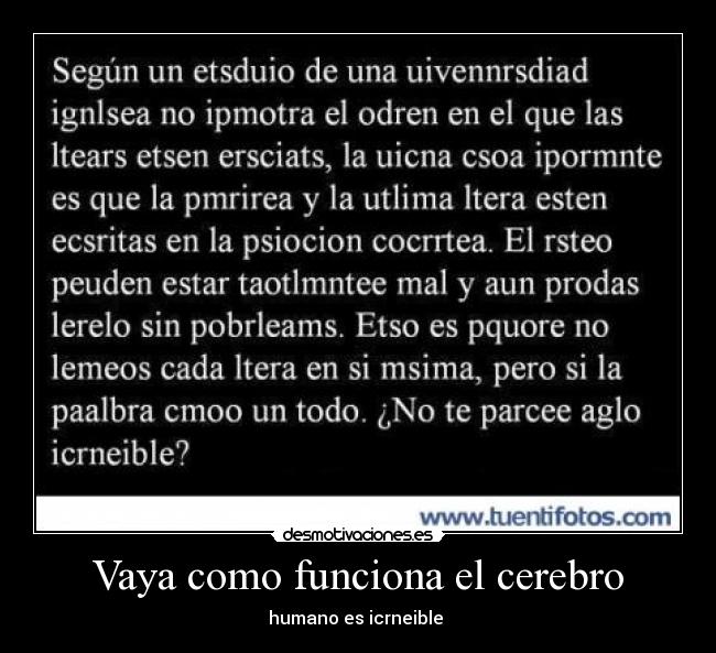 Vaya como funciona el cerebro -