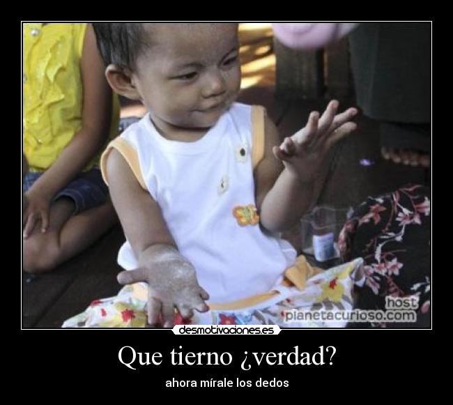 Que tierno ¿verdad? - 