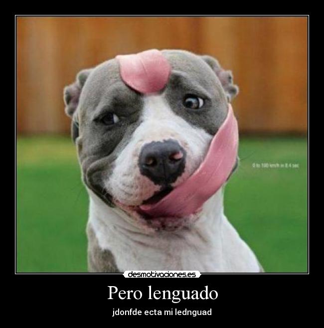 Pero lenguado -