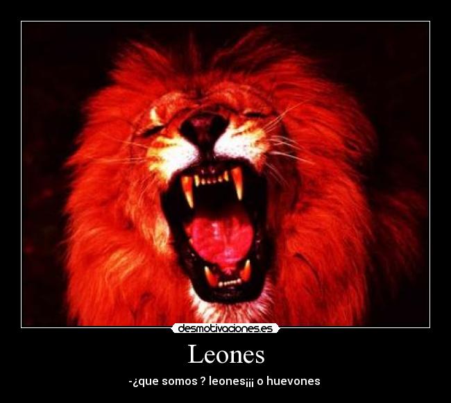 Leones - 