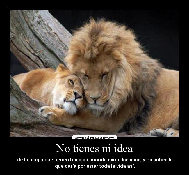 No tienes ni idea - 