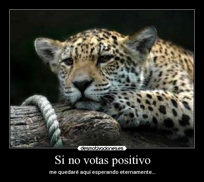 Si no votas positivo - me quedaré aquí esperando eternamente...