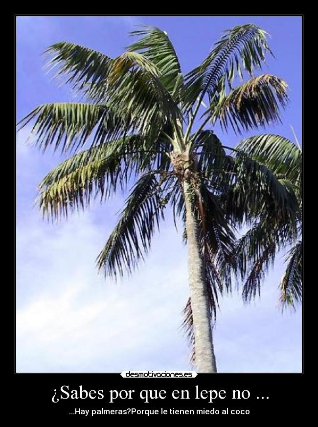 ¿Sabes por que en lepe no ... - 