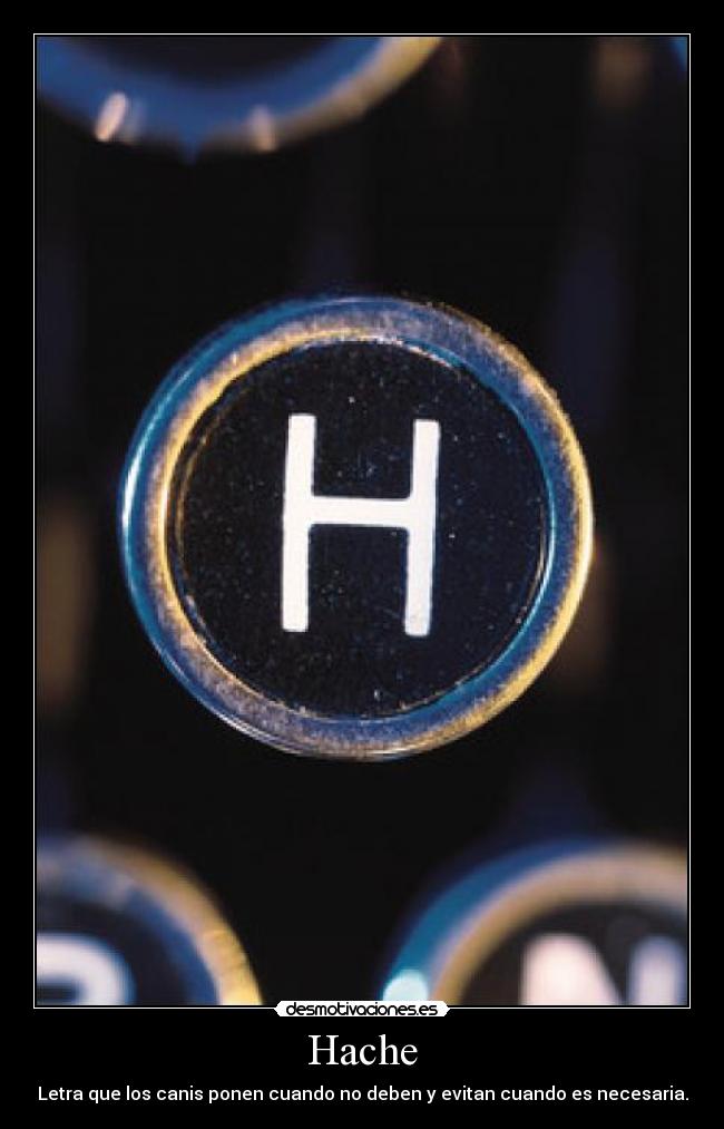 Hache - Letra que los canis ponen cuando no deben y evitan cuando es necesaria.