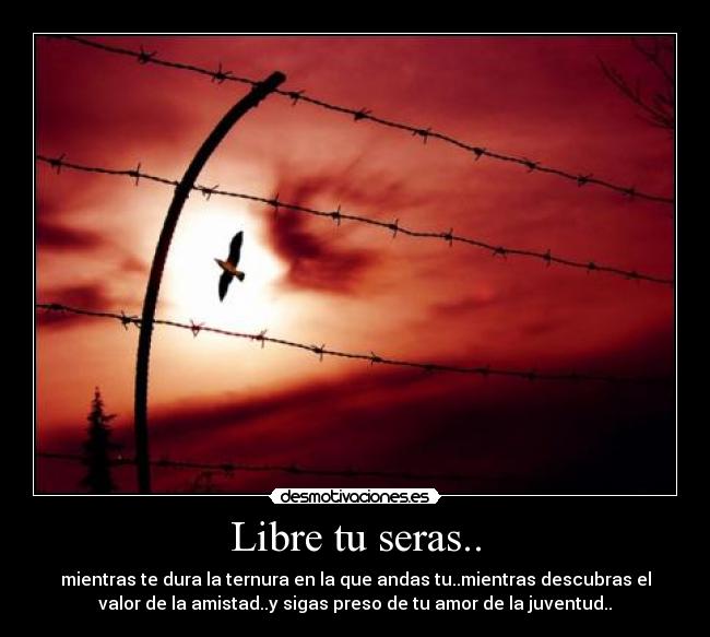 Libre tu seras.. - mientras te dura la ternura en la que andas tu..mientras descubras el
valor de la amistad..y sigas preso de tu amor de la juventud..