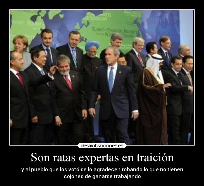 Son ratas expertas en traición -