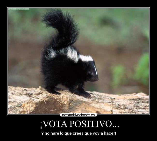¡VOTA POSITIVO... - Y no haré lo que crees que voy a hacer!